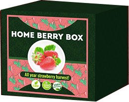 Home Berry Box Recensioni